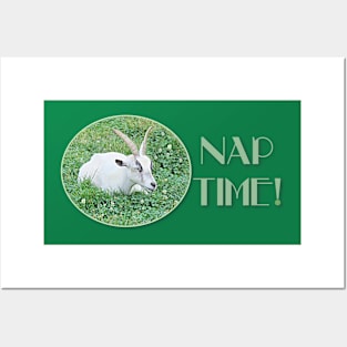 NAP TIME! Posters and Art